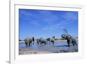 Elephants at Water Hole-Paul Souders-Framed Photographic Print