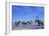 Elephants at Water Hole-Paul Souders-Framed Photographic Print