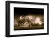 Elephants at watering hole. Camelthorn Lodge. Hwange National Park. Zimbabwe.-Tom Norring-Framed Photographic Print