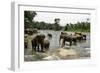 Elephants Bathing in the River at the Pinnewala Elephant Orphanage, Sri Lanka, Asia-John Woodworth-Framed Photographic Print