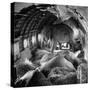 Elephants Being Transported by Airplane-null-Stretched Canvas