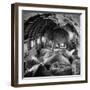 Elephants Being Transported by Airplane-null-Framed Photographic Print