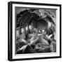 Elephants Being Transported by Airplane-null-Framed Photographic Print