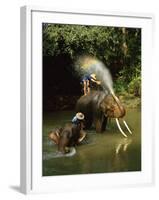 Elephants Being Washed in the River Near Chiang Mai, the North, Thailand-Gavin Hellier-Framed Photographic Print