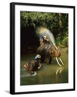 Elephants Being Washed in the River Near Chiang Mai, the North, Thailand-Gavin Hellier-Framed Photographic Print