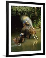 Elephants Being Washed in the River Near Chiang Mai, the North, Thailand-Gavin Hellier-Framed Photographic Print