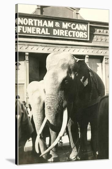 Elephants by Funeral Parlor-null-Stretched Canvas