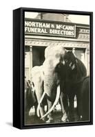 Elephants by Funeral Parlor-null-Framed Stretched Canvas