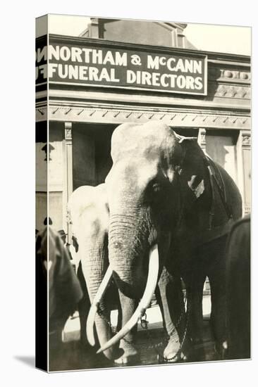 Elephants by Funeral Parlor-null-Stretched Canvas