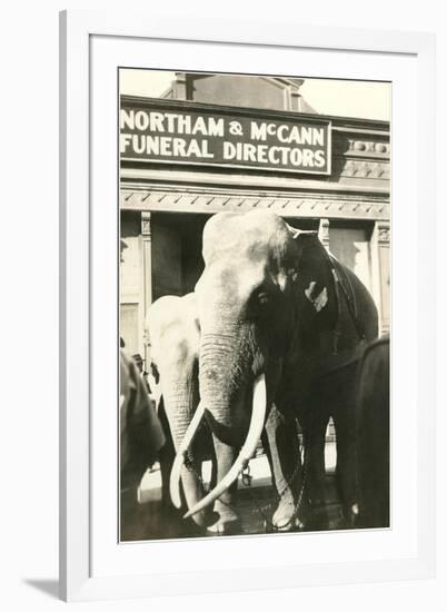 Elephants by Funeral Parlor-null-Framed Art Print