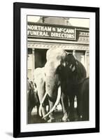 Elephants by Funeral Parlor-null-Framed Art Print