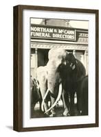 Elephants by Funeral Parlor-null-Framed Art Print