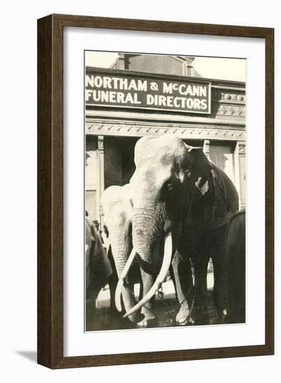 Elephants by Funeral Parlor-null-Framed Art Print