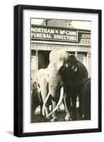 Elephants by Funeral Parlor-null-Framed Art Print