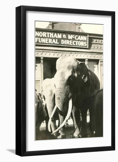 Elephants by Funeral Parlor-null-Framed Art Print