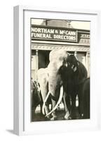 Elephants by Funeral Parlor-null-Framed Art Print