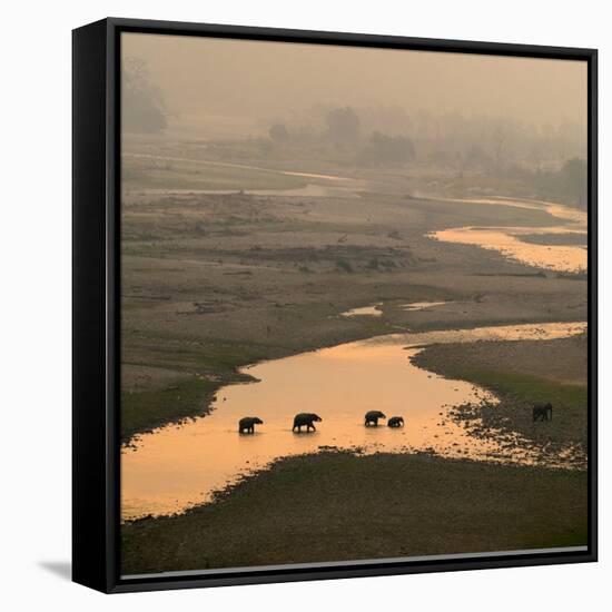 Elephants Crossing River-Ganesh H Shankar-Framed Stretched Canvas