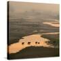 Elephants Crossing River-Ganesh H Shankar-Stretched Canvas