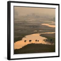 Elephants Crossing River-Ganesh H Shankar-Framed Photographic Print