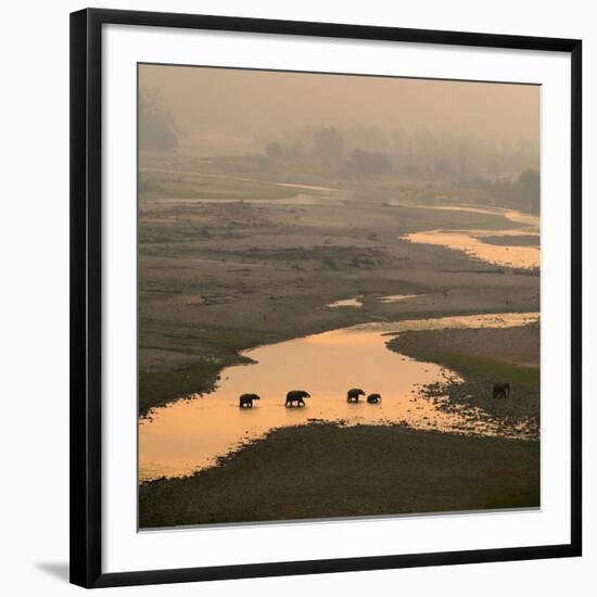 Elephants Crossing River-Ganesh H Shankar-Framed Photographic Print