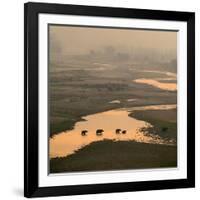 Elephants Crossing River-Ganesh H Shankar-Framed Photographic Print