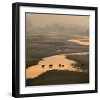 Elephants Crossing River-Ganesh H Shankar-Framed Photographic Print