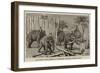 Elephants Demolishing a Stockade, Wontho, Upper Burma-Harry Hamilton Johnston-Framed Giclee Print