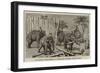 Elephants Demolishing a Stockade, Wontho, Upper Burma-Harry Hamilton Johnston-Framed Giclee Print