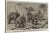 Elephants Demolishing a Stockade, Wontho, Upper Burma-Harry Hamilton Johnston-Stretched Canvas