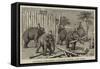 Elephants Demolishing a Stockade, Wontho, Upper Burma-Harry Hamilton Johnston-Framed Stretched Canvas