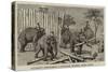 Elephants Demolishing a Stockade, Wontho, Upper Burma-Harry Hamilton Johnston-Stretched Canvas