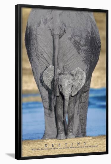 Elephants (Destiny) Art Poster Print-null-Framed Poster
