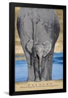 Elephants (Destiny) Art Poster Print-null-Framed Poster