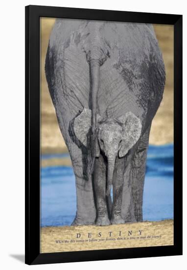 Elephants (Destiny) Art Poster Print-null-Framed Poster