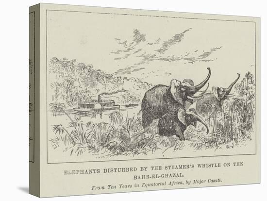 Elephants Disturbed by the Steamer's Whistle on the Bahr-El-Ghazal-null-Stretched Canvas