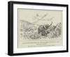 Elephants Disturbed by the Steamer's Whistle on the Bahr-El-Ghazal-null-Framed Giclee Print