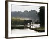 Elephants Drink from the Channel Outside Camp, Lower Zambezi National Park, Zambia-John Warburton-lee-Framed Photographic Print