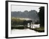 Elephants Drink from the Channel Outside Camp, Lower Zambezi National Park, Zambia-John Warburton-lee-Framed Photographic Print