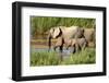 Elephants Drinking-instinia-Framed Photographic Print