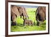 Elephants Family on African Savanna. Safari in Amboseli, Kenya, Africa-Michal Bednarek-Framed Photographic Print