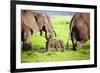 Elephants Family on African Savanna. Safari in Amboseli, Kenya, Africa-Michal Bednarek-Framed Photographic Print