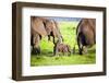 Elephants Family on African Savanna. Safari in Amboseli, Kenya, Africa-Michal Bednarek-Framed Photographic Print