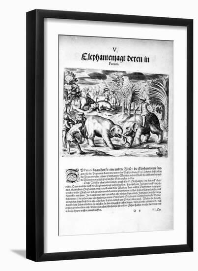 Elephants Fighting, 1606-Theodore de Bry-Framed Giclee Print