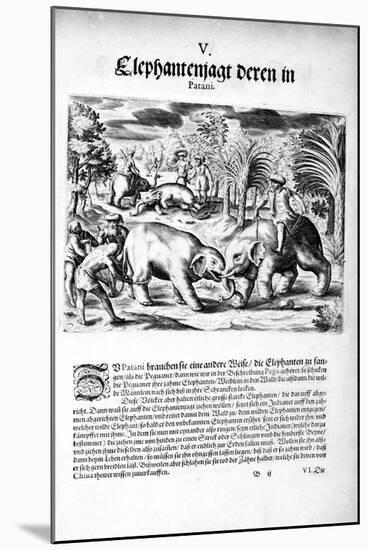 Elephants Fighting, 1606-Theodore de Bry-Mounted Giclee Print