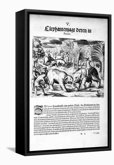 Elephants Fighting, 1606-Theodore de Bry-Framed Stretched Canvas