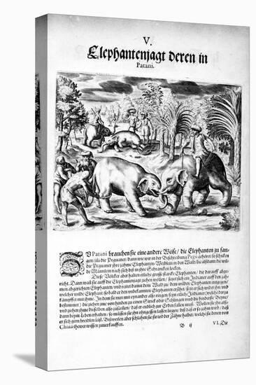 Elephants Fighting, 1606-Theodore de Bry-Stretched Canvas