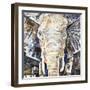 Elephants Gaze-James Grey-Framed Art Print