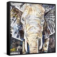 Elephants Gaze-James Grey-Framed Stretched Canvas