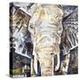 Elephants Gaze-James Grey-Stretched Canvas