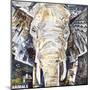 Elephants Gaze-James Grey-Mounted Art Print